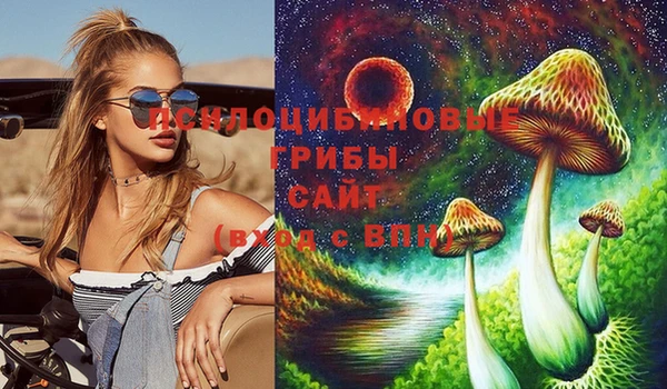 гидропоника Абинск