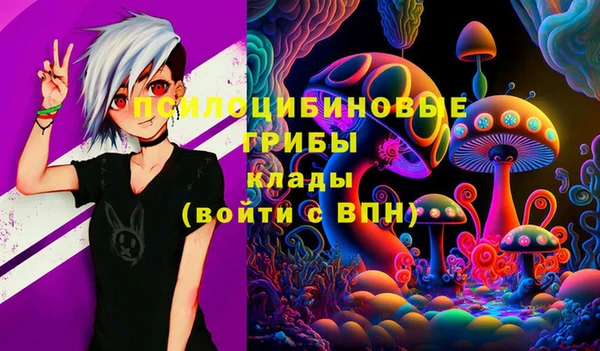 дурь Россошь